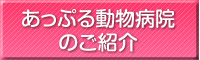 あっぷる動物病院のご紹介